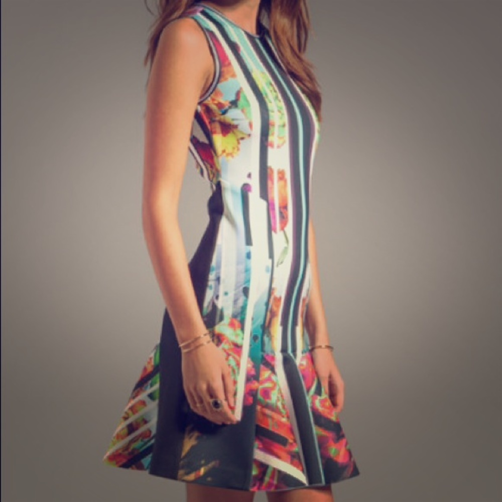 ‼️LOWEST ‼️ LAST CHANCE ‼️ Clover Canyon Fit and Flare Rose Dress